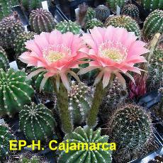 EP-H. Cajamarca.3.1.jpg 